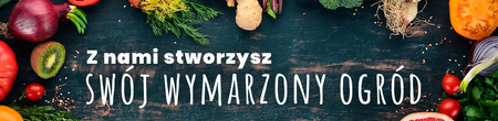 SAŁATA KRÓLOWA MAJOWYCH MASŁOWA OGROMNE LIŚCIE nasiona 2 g wczesna