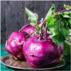 KALAREPA PURPUROWA DEL BLAUER ZDROWA SMACZNA ORYGINALNA nasiona 2 g